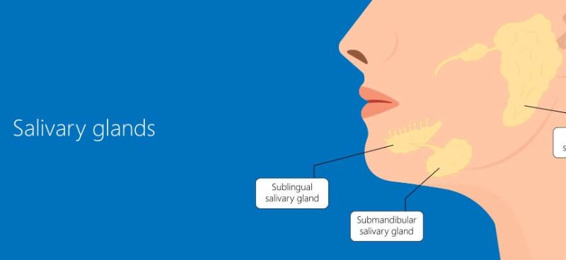 Parotid Tumors: Scarless Mini – Incision Parotidectomy