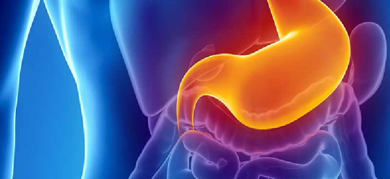 Early Warning Signs of Gastrointestinal Stromal Tumor Recognizing Symptoms and Seeking Timely Diagnosis