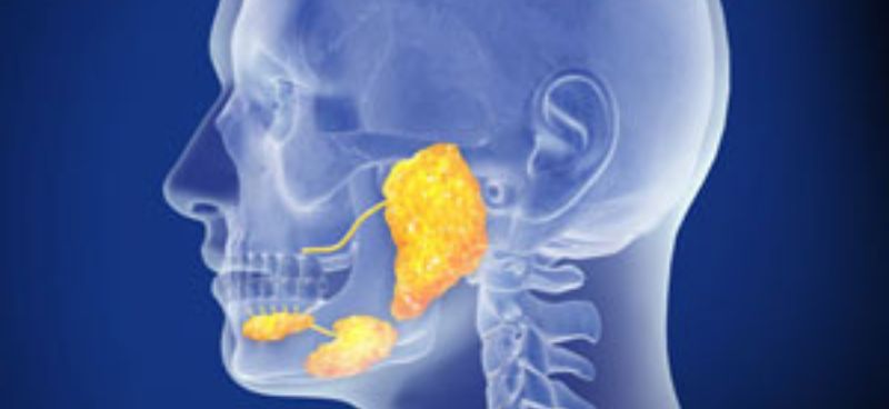 Decoding the Complexity of Salivary Gland Tumors