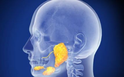 Decoding the Complexity of Salivary Gland Tumors