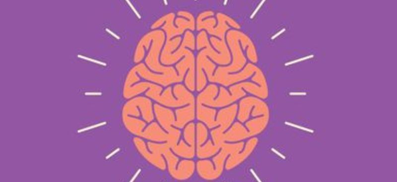 Overview of Epilepsy Management: Insights and Decision-Making
