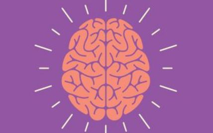 Overview of Epilepsy Management: Insights and Decision-Making