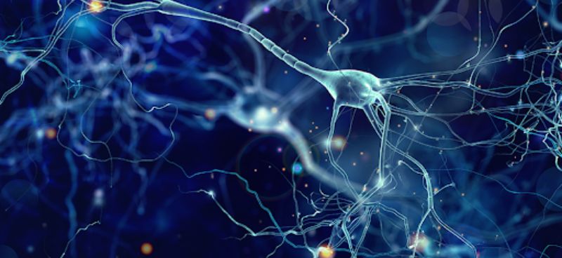 Living with Movement Disorders: Coping Strategies and Lifestyle Tips