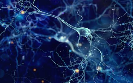 Living with Movement Disorders: Coping Strategies and Lifestyle Tips