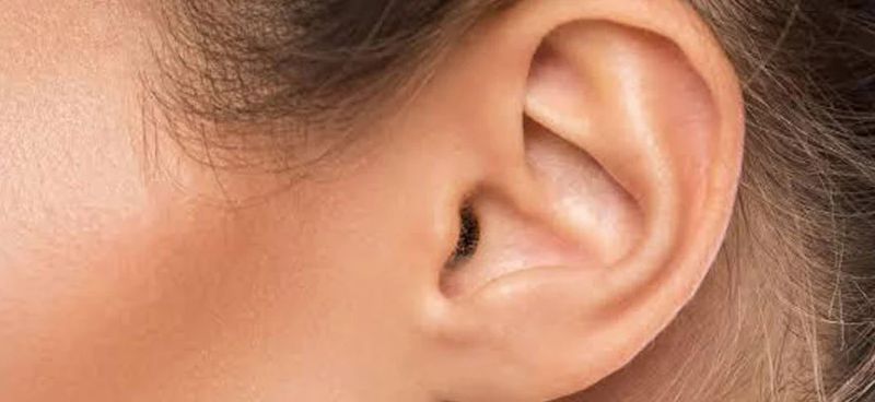 Endoscopic Transcanal Excision