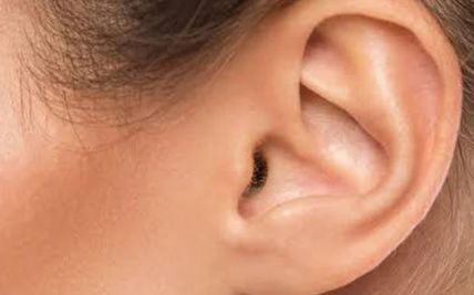Endoscopic Transcanal Excision