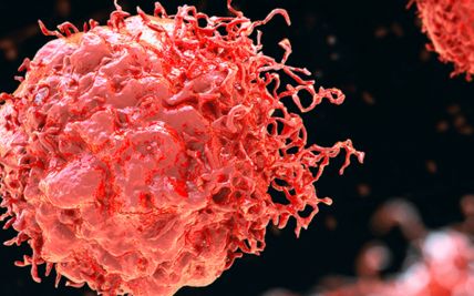 Genetic Factors and Gastrointestinal Stromal Tumors: What You Need to Know