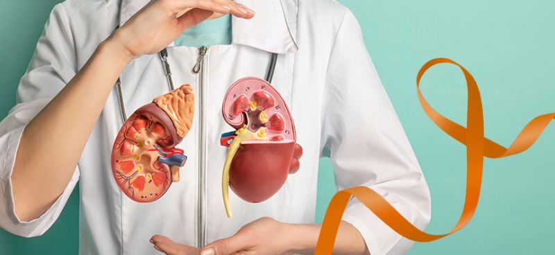 Understanding Kidney Cancer: A Comprehensive Overview