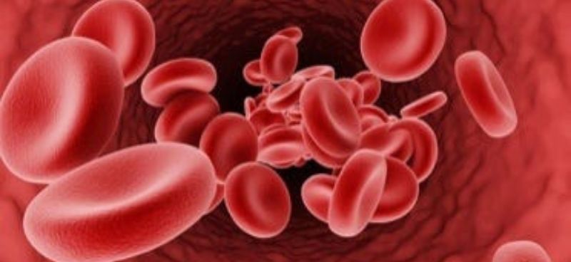 Understanding Thalassemia: Types, Causes, and Symptoms