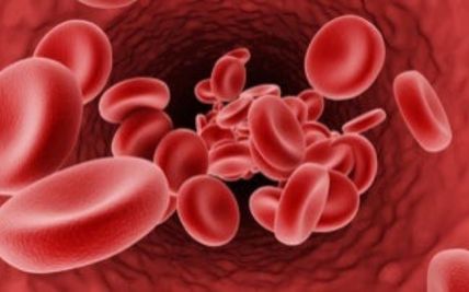 Understanding Thalassemia: Types, Causes, and Symptoms