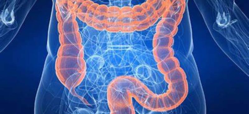 Diet and Colon Health