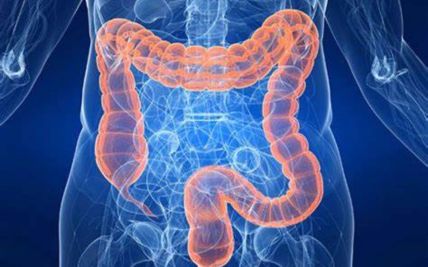 Diet and Colon Health