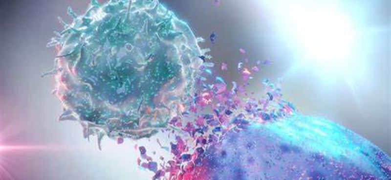 The Role of Immunotherapy in Women’s Cancers