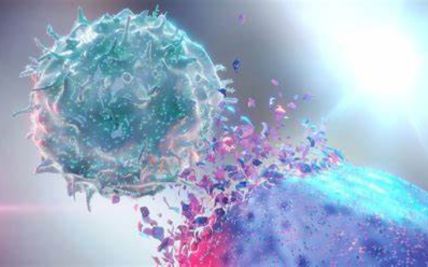 The Role of Immunotherapy in Women’s Cancers
