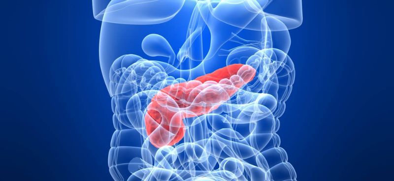 Pancreatic Cancer