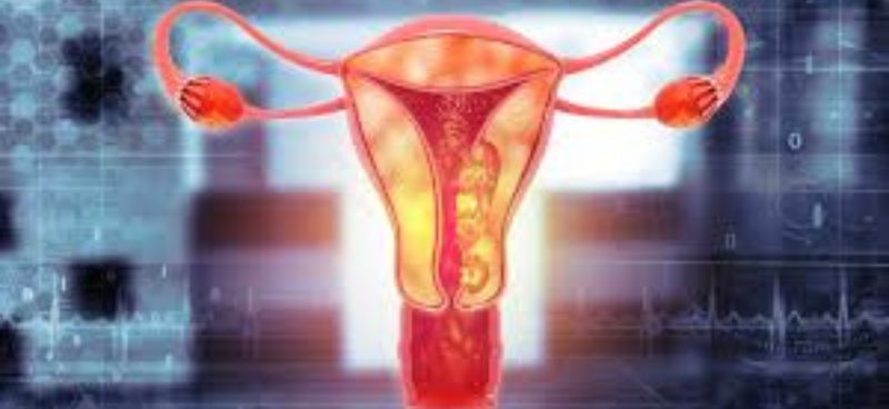 Early Warning Signs of Uterine Cancer: Recognizing Symptoms and Seeking Timely Diagnosis