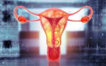 Early Warning Signs of Uterine Cancer: Recognizing Symptoms and Seeking Timely Diagnosis