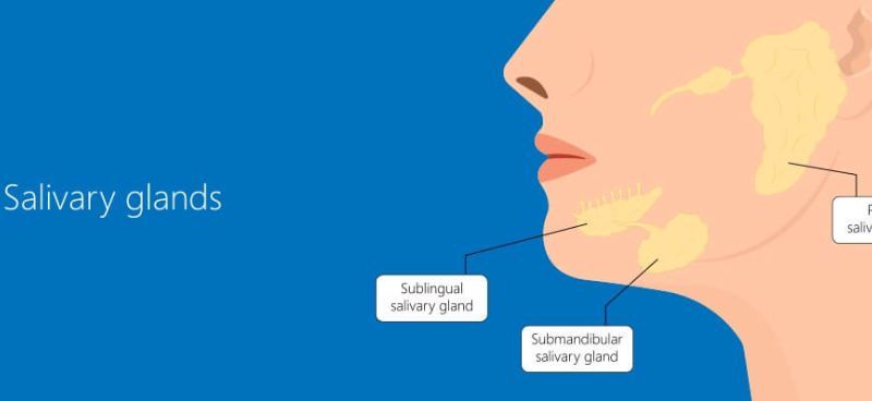 Parotid Tumors