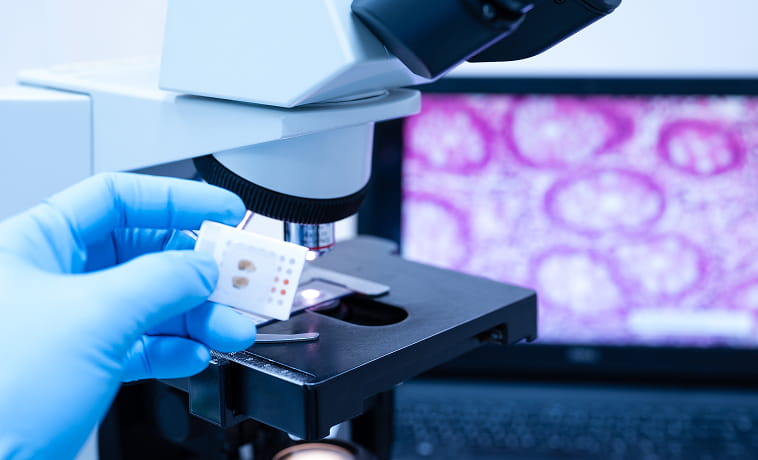 Histopathology