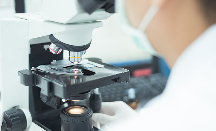 Urine Cytology