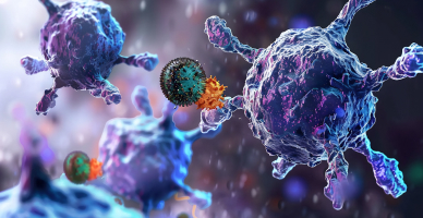 Antibody–Drug Conjugates