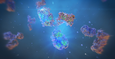 Monoclonal Antibodies