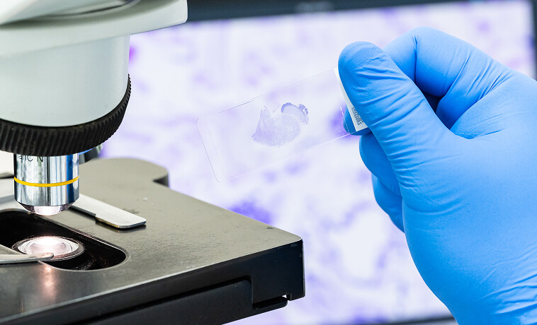 Histopathology