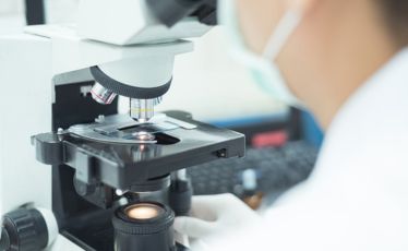 Urine Cytology