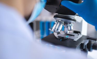 Molecular and Genetic