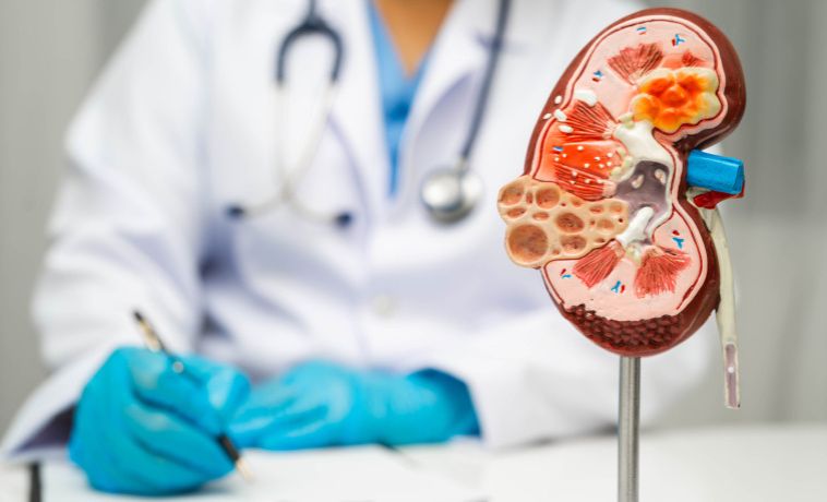 Kidney Function and Electrolytes