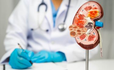 Kidney Function and Electrolytes