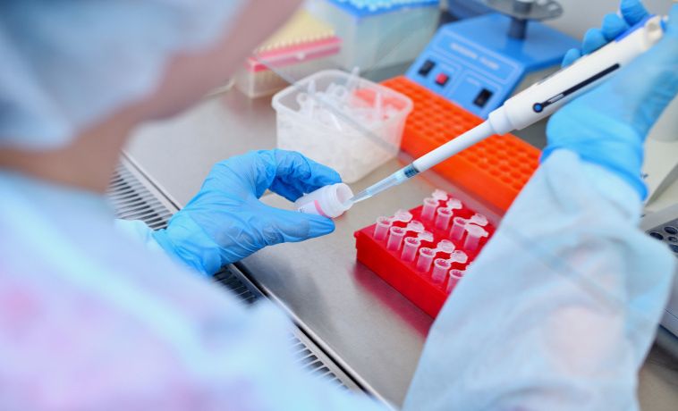 Molecular Testing