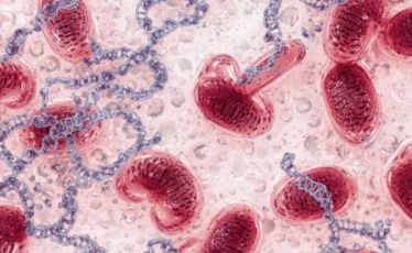 Cytogenetic Testing.