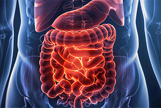 Gastrointestinal Stromal Tumour