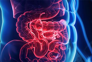 Primary Peritoneal Cancer