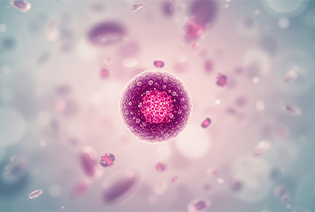 Acute Lymphoblastic Leukemia