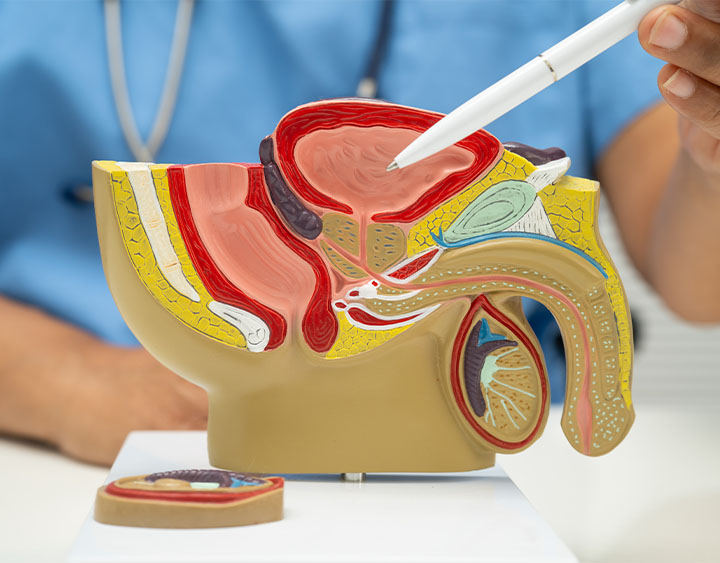 Genitourinary Cancer