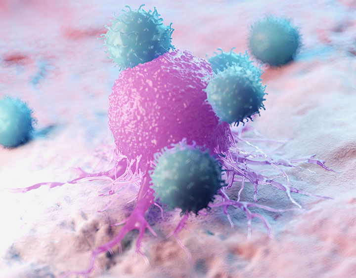 Endocrine &amp; Neuroendocrine Cancers