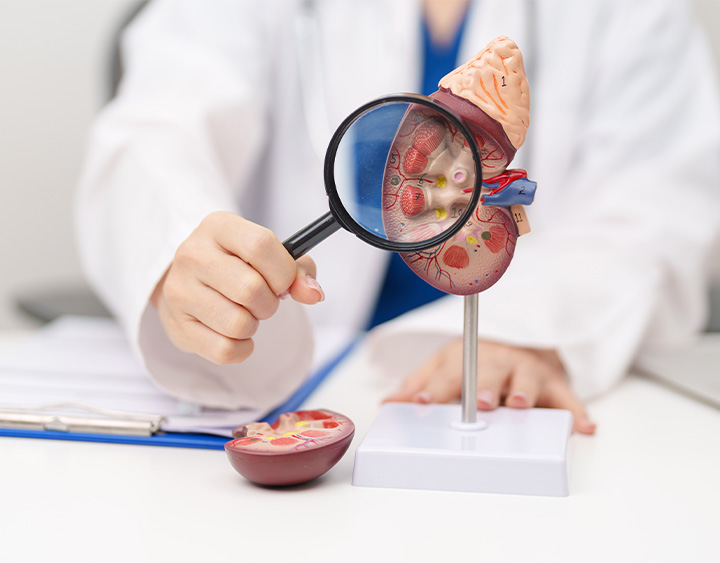 Genitourinary Cancer
