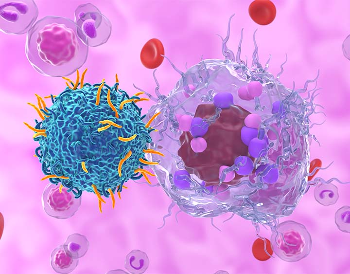 Endocrine &amp; Neuroendocrine Cancers