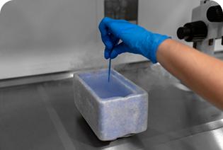 Embryo cryopreservation