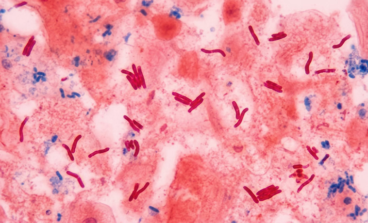 Cytopathology services