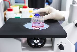 Cell Engineering &amp; Expansion