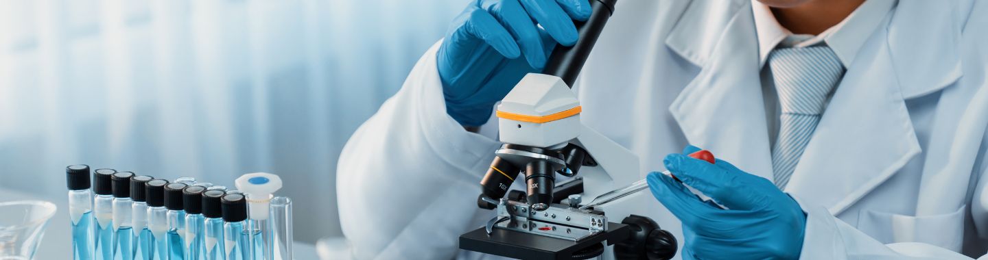 Stem Cell Transplant