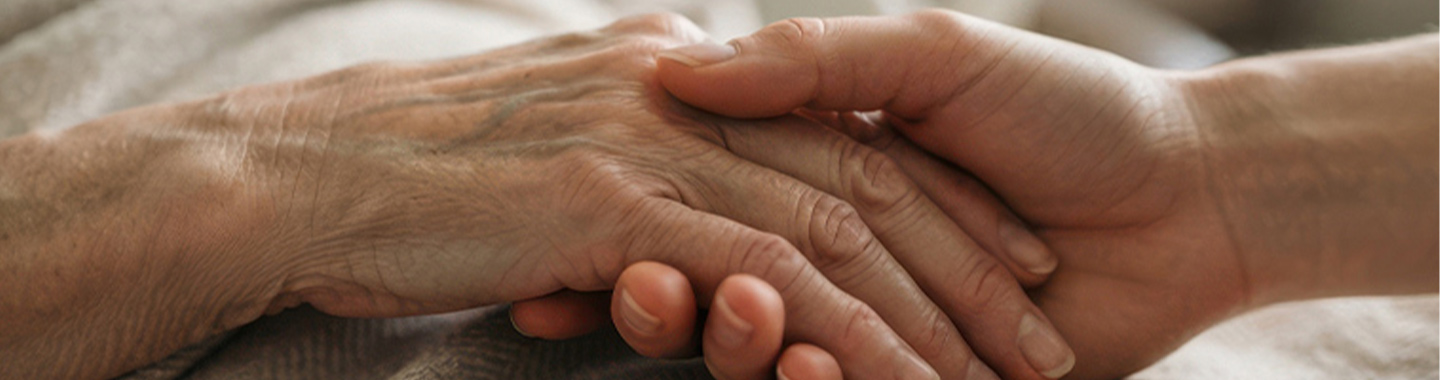 Palliative Care 