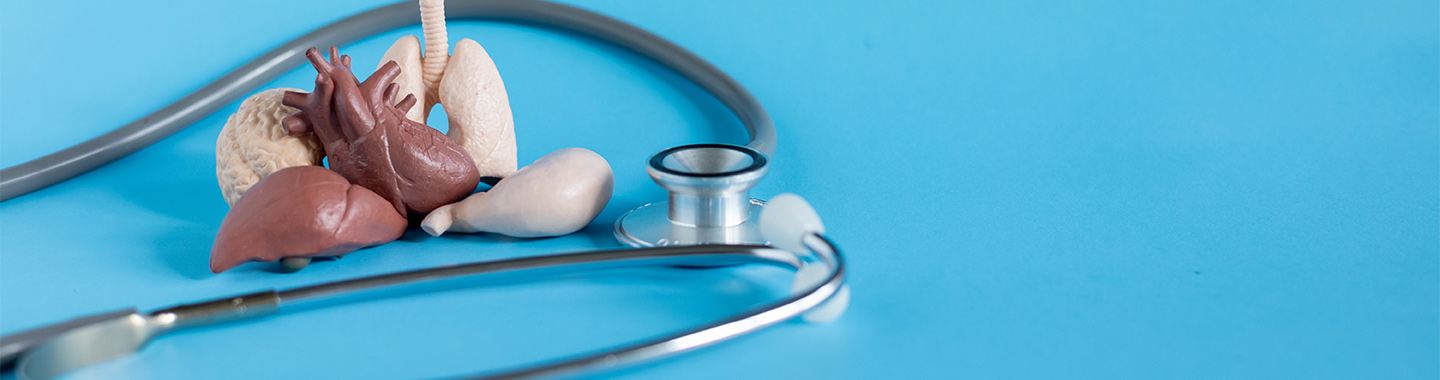 Organ-Preservation and Function-Sparing Cancer Surgery