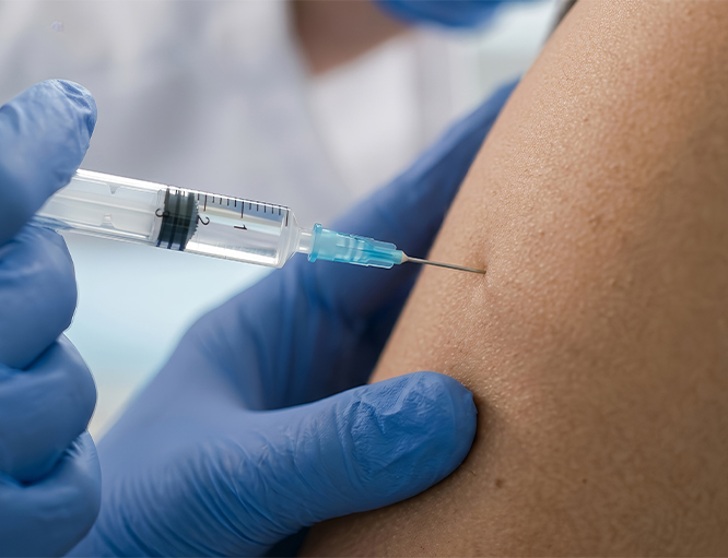 Antibody–Drug Conjugates