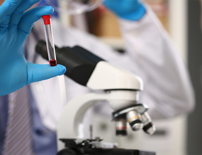 Targeted Therapy 