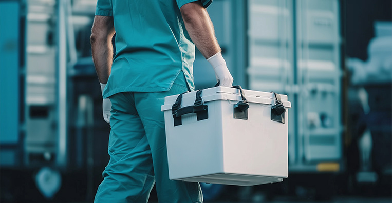 External Beam Radiation Therapy (EBRT)