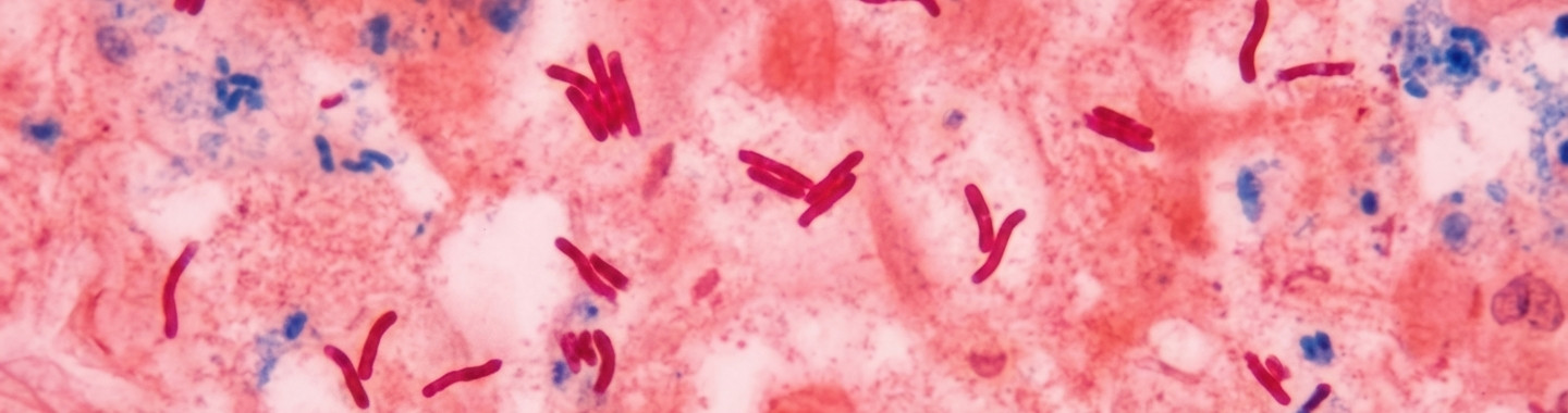 Cytopathology